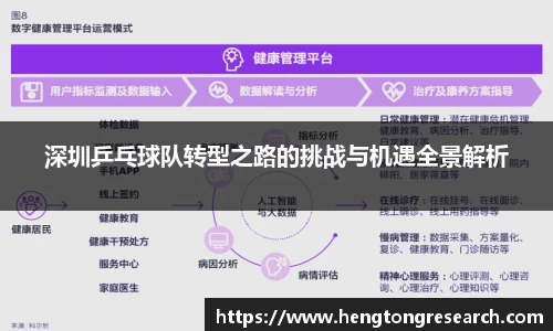 深圳乒乓球队转型之路的挑战与机遇全景解析